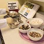 TCM - Arzneimittel der Traditionellen Chinesischen Medizin